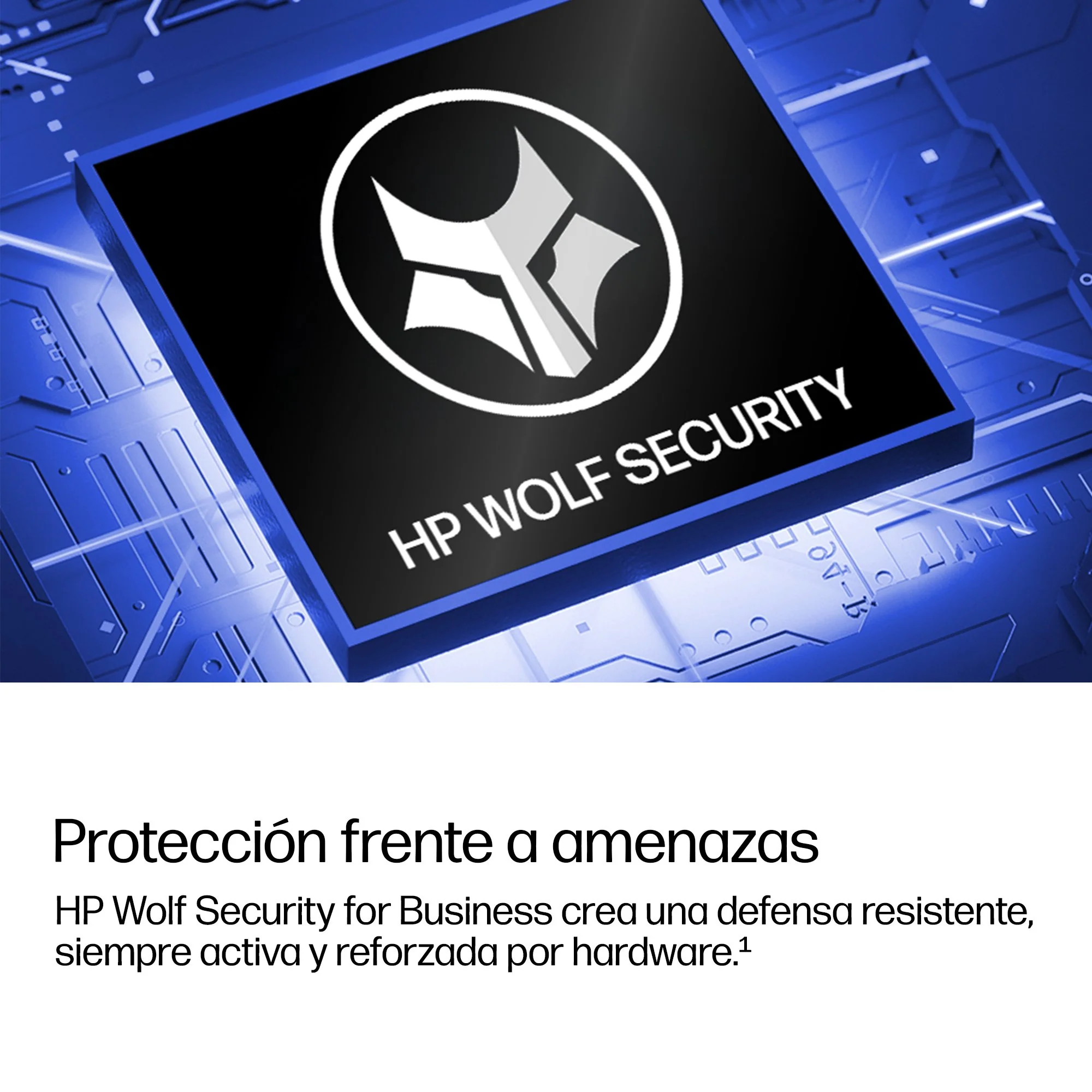 Imagen del producto 12