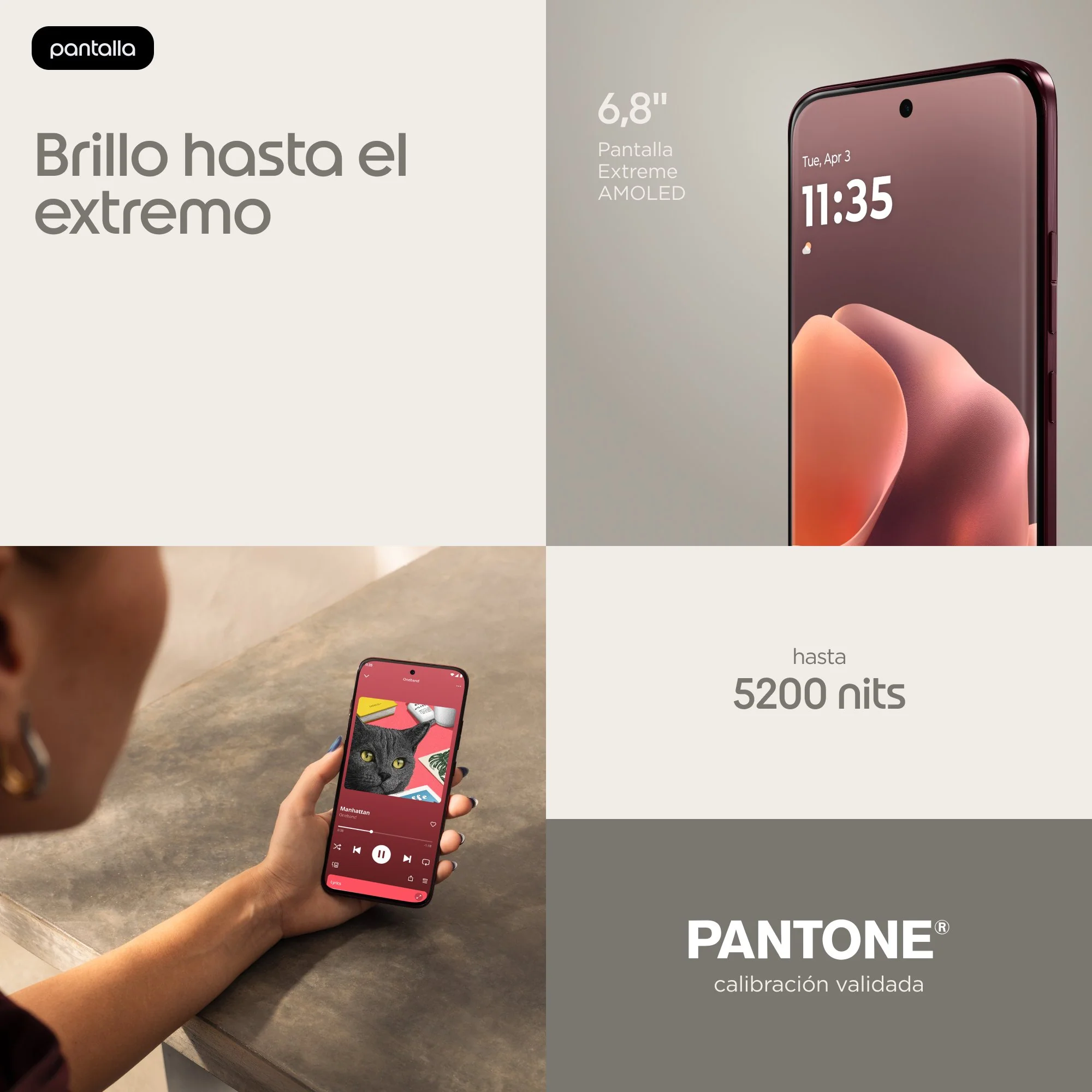 Imagen del producto 10