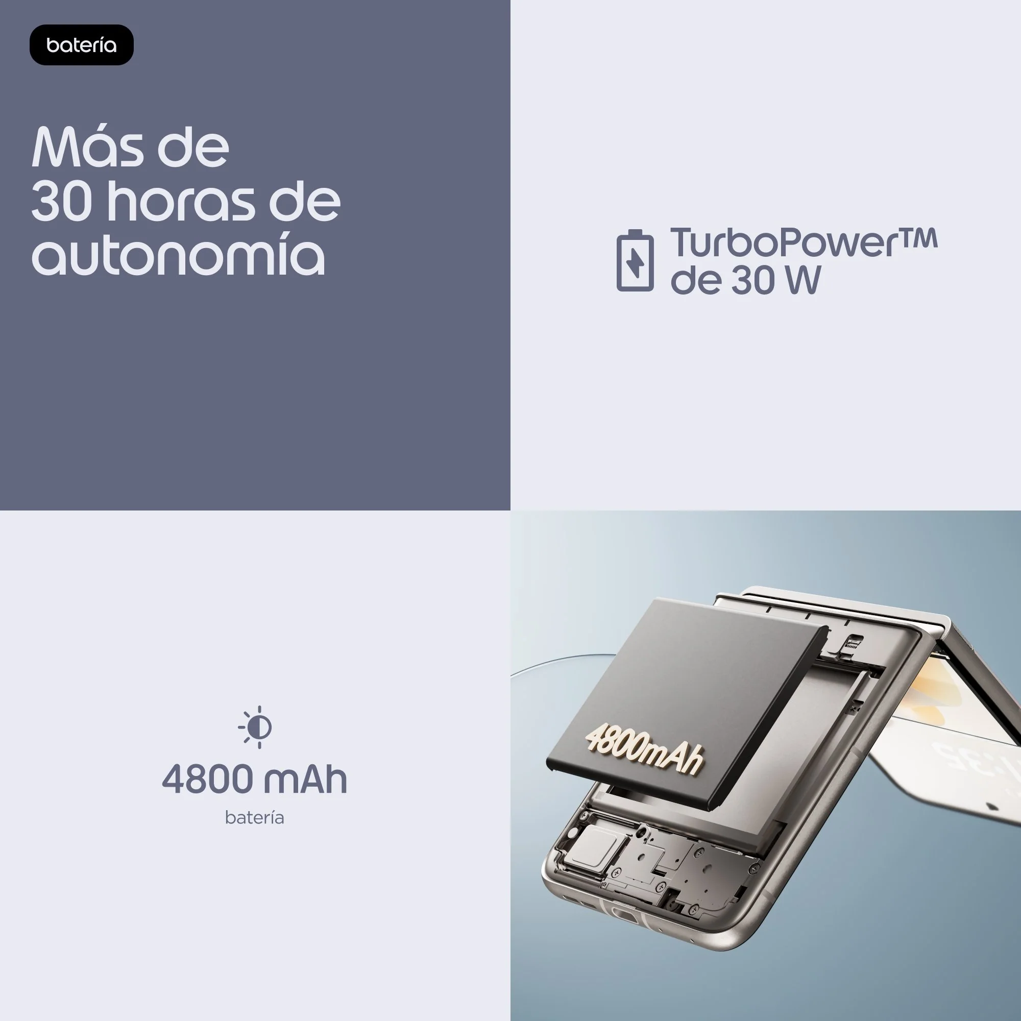 Imagen del producto 19