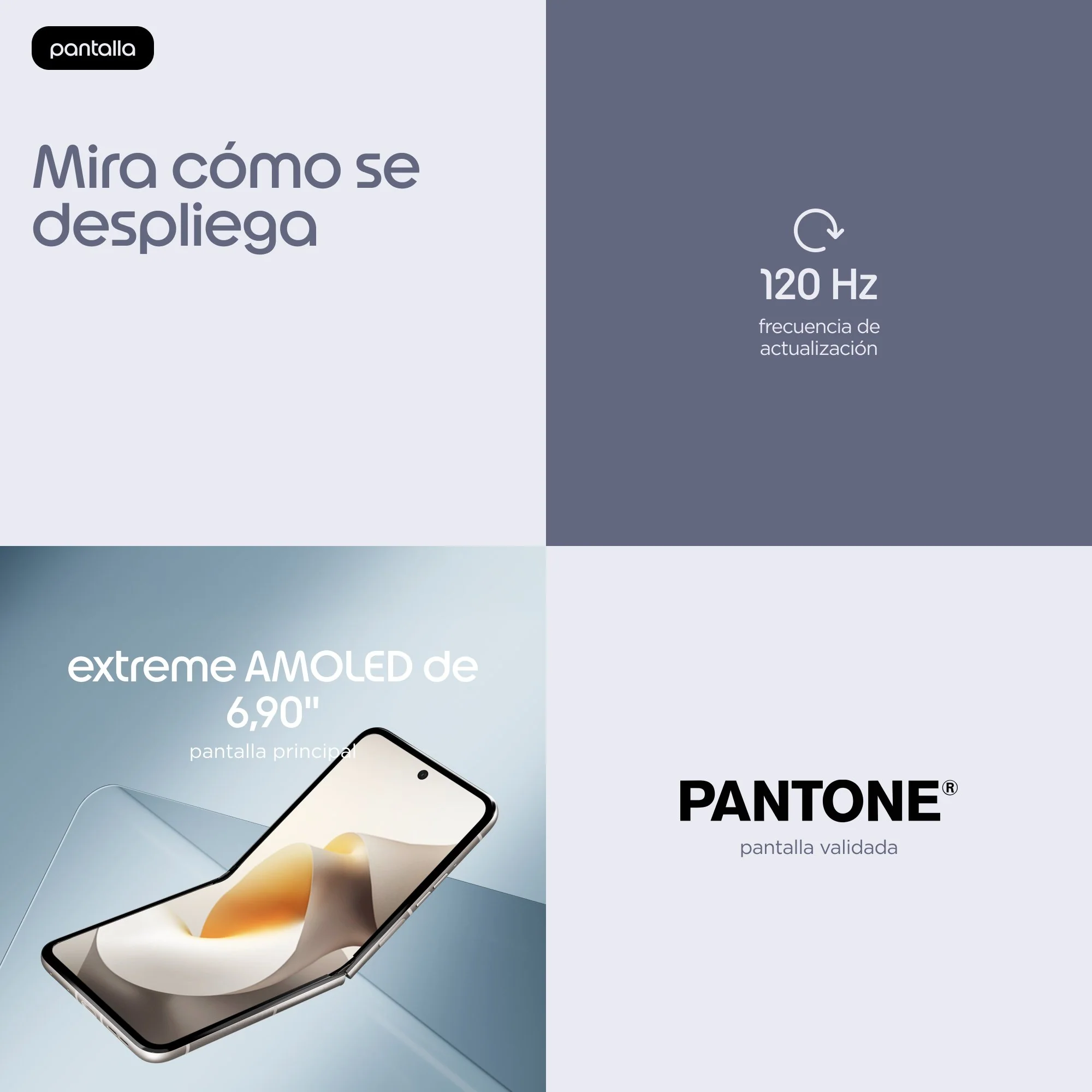 Imagen del producto 20